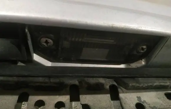 Volkswagen PASSAT B5 Number plate light 