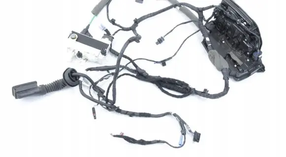BMW 6 G32 Gran Turismo Rear door wiring loom 7255199