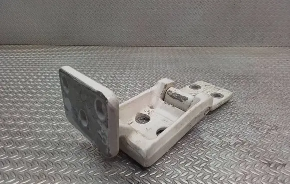 Rear door lower hinge