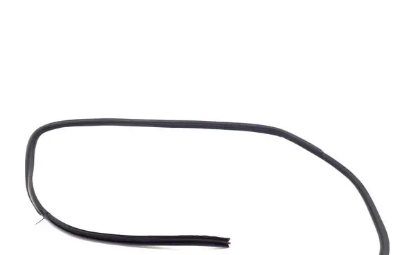 Toyota Hilux (AN10, AN20, AN30) Front door rubber seal 623110K070