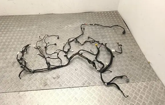 Tesla Model Y Other wiring loom 154726600D 248904000A 35575244X
