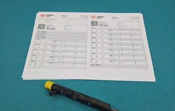 Renault Modus Fuel injector EJBR05101D IMPRK1549358