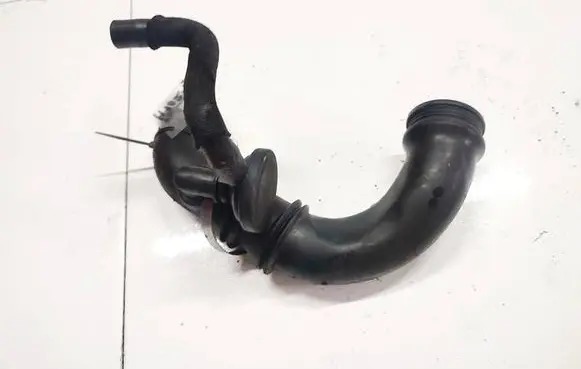 Renault Kangoo I Air intake hose/pipe
