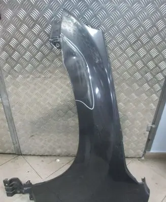 Suzuki Grand Vitara II Fender