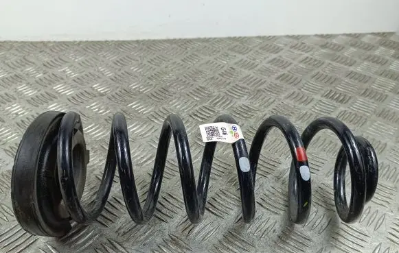 KIA Sorento IV Rear coil spring 55330P2460