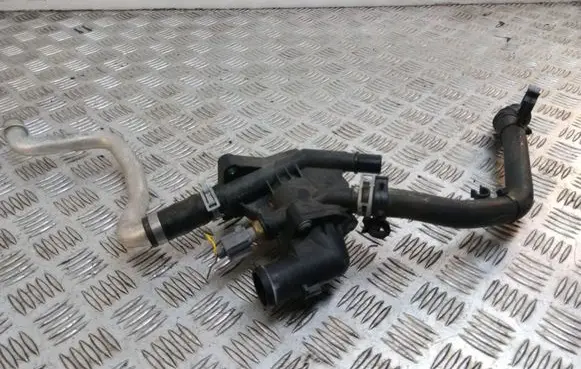 Thermostat/thermostat housing