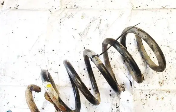 Renault Trafic II (X83) Front coil spring