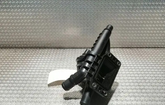 Thermostat/thermostat housing