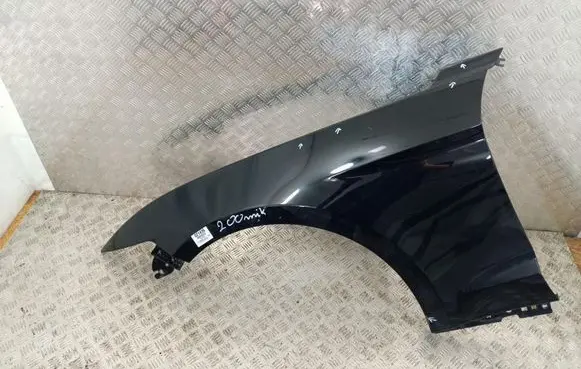 Ford Mustang I Fender