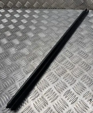 Rear door glass trim molding