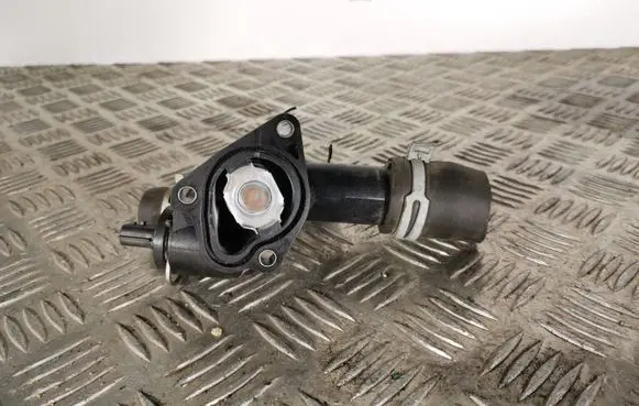 Thermostat/thermostat housing