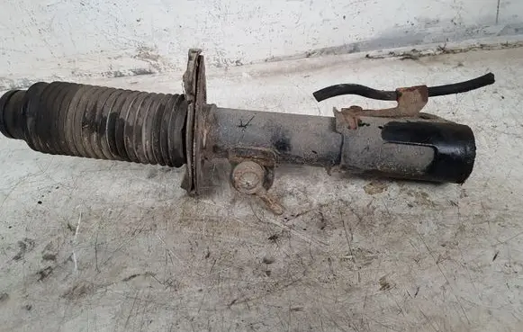 Opel Antara Front shock absorber/damper