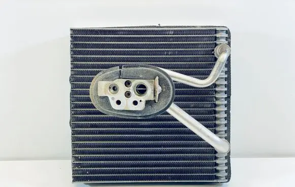 Seat Toledo III (5P) Heater blower radiator 1K1820103 1K0820679