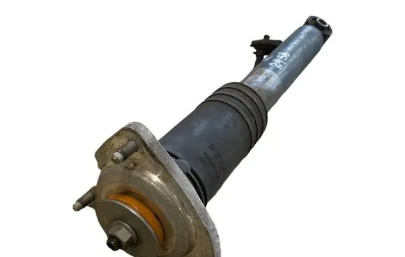 BMW X5 E70 Rear shock absorber/damper 6782877