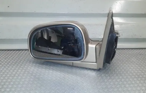 Hyundai Santa Fe Front door electric wing mirror E4012147