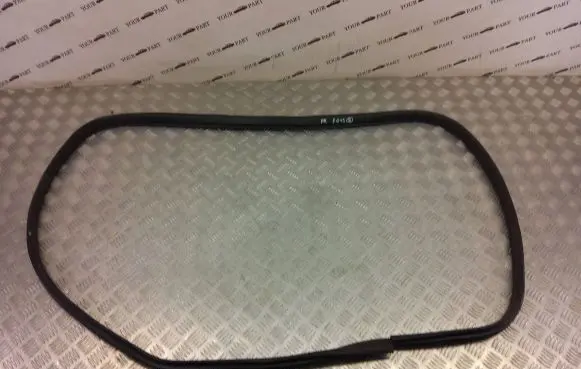 Ford Kuga II Front door rubber seal