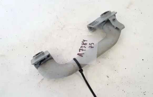 KIA Carnival Rear interior roof grab handle