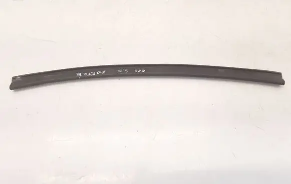 Peugeot 1007 Rubber seal rear door window/glass 