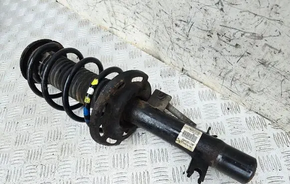 Citroen C3 Front shock absorber with coil spring 9671325480