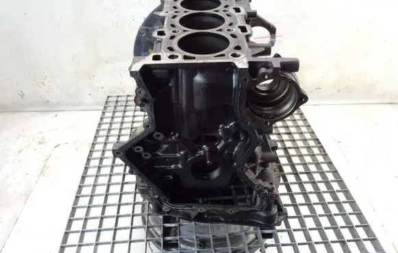 Nissan X-Trail T31 Engine block M9R832