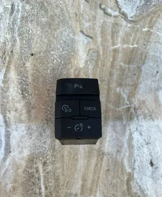 Panel lighting control switch