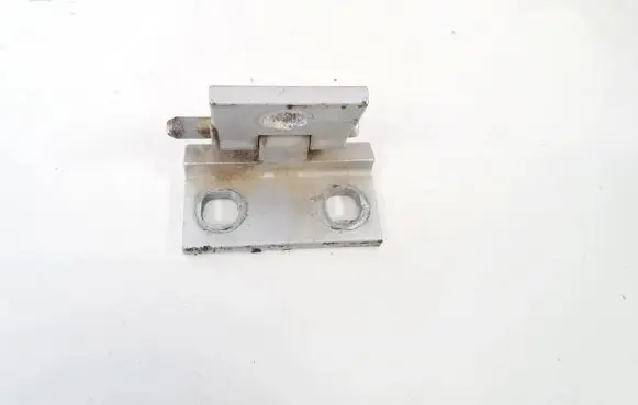 Rear door lower hinge