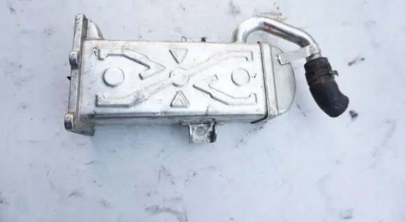 Seat Leon (1M) EGR valve cooler