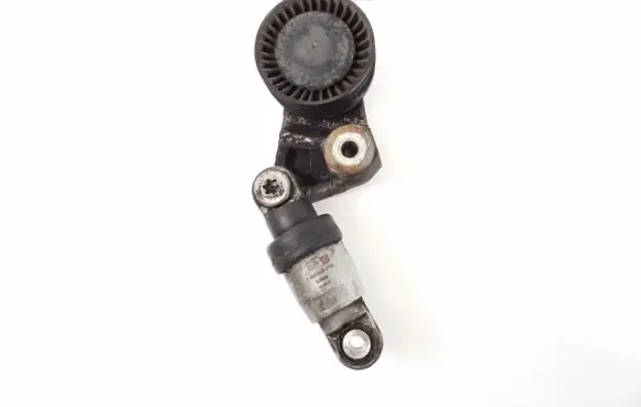Porsche Cayenne (92A) Timing belt/chain tensioner 94810236122