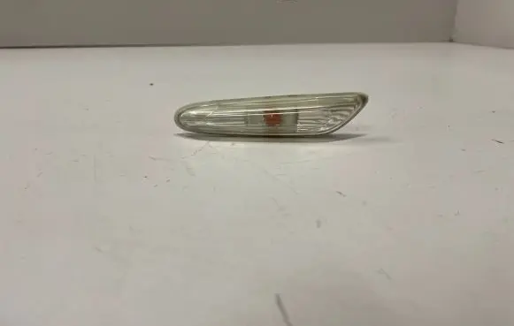 Front fender indicator light
