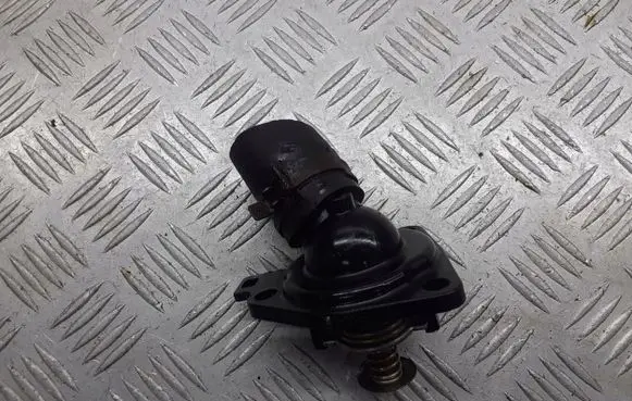 Thermostat/thermostat housing