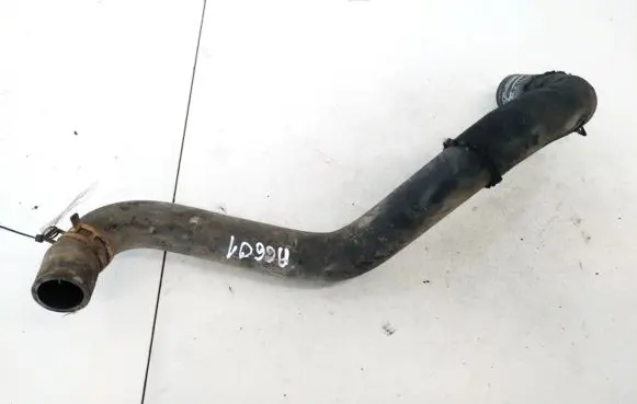Citroen Xsara Engine coolant pipe/hose