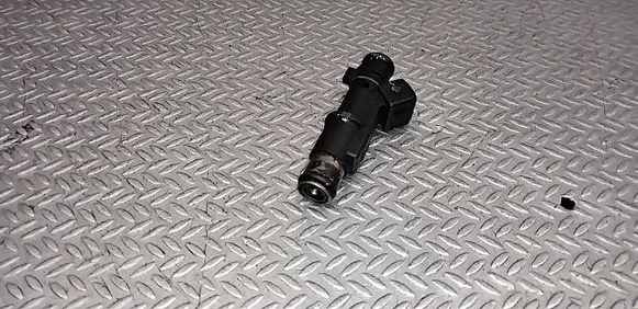 Peugeot 307 CC Fuel injector 01F005A