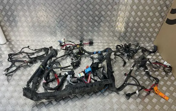 Tesla Model 3 Other wiring loom 206876700B