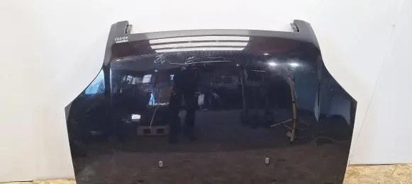 Engine bonnet/hood