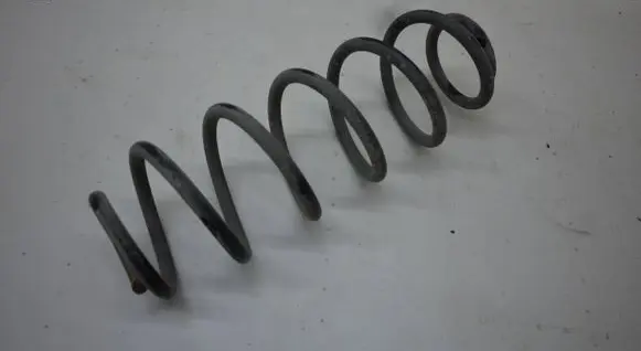 Rear coil spring