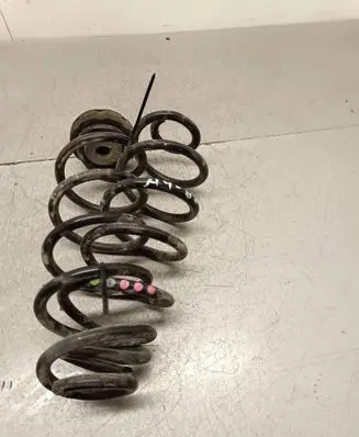 Rear coil spring