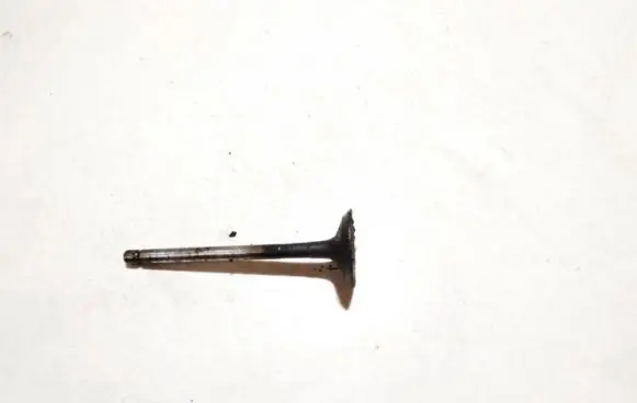 Fiat Bravo - Brava Valve 