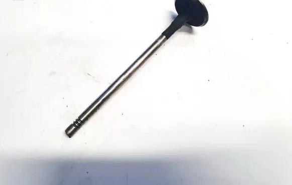 Renault Vel Satis Valve 