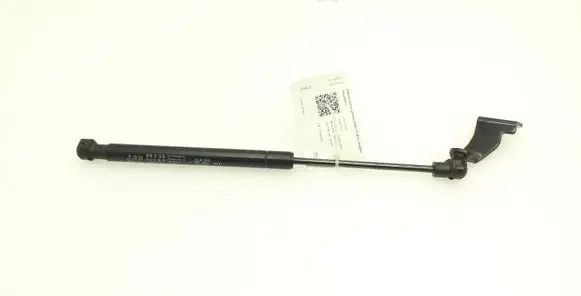 Chevrolet Captiva Rear window strut damper 82553891300