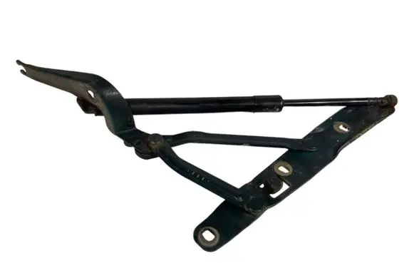 Tailgate/trunk/boot hinge