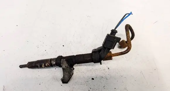 Volkswagen Crafter Fuel injector 076130277