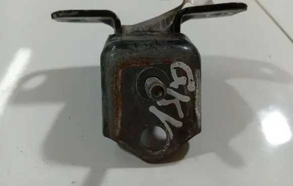Rear door lower hinge