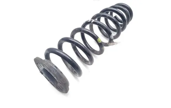 Rear coil spring