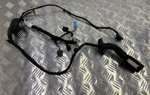 Audi Q3 F3 Front door wiring loom 83A971029qd M0R0CC0