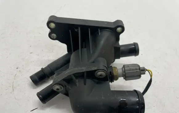 Thermostat/thermostat housing