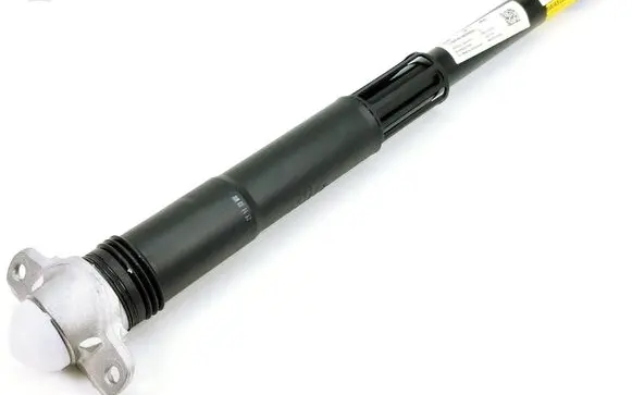 Volkswagen Golf VIII Rear shock absorber/damper 5WA512013AJ
