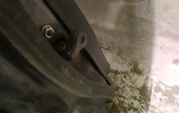 Rear door check strap stopper
