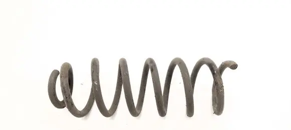 Rear coil spring