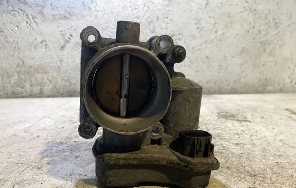 Opel Signum Throttle valve 09507B4595