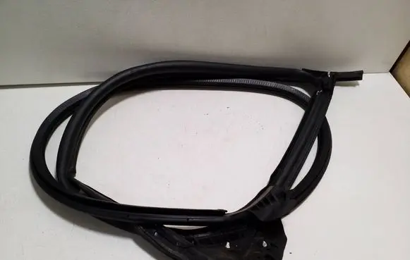 Tesla Model S Front door rubber seal